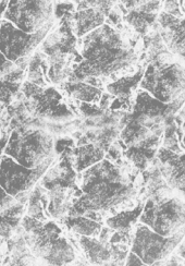 Палас Print Мрамор 05_175 54000000