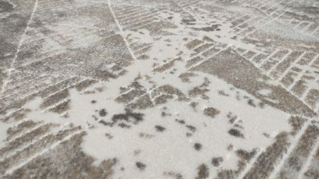 ковер визион 22120_25354