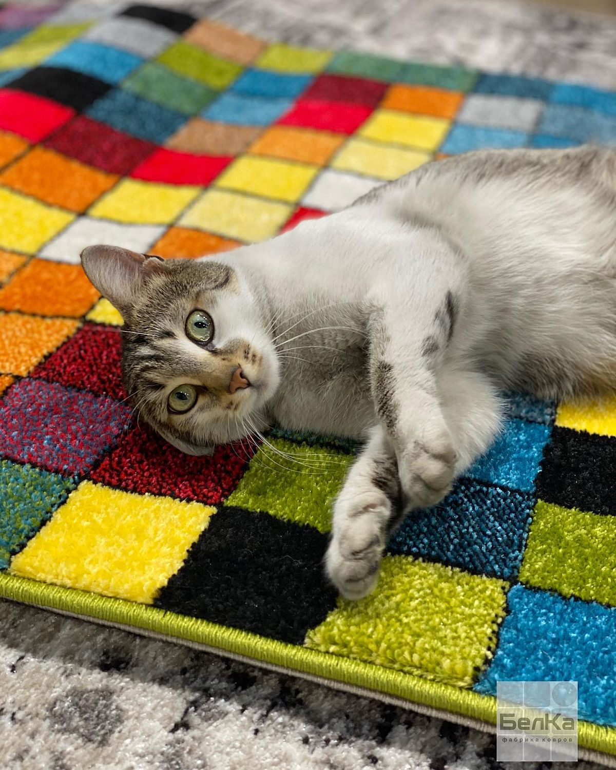 ковер фэнси 20719 22088