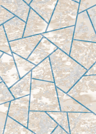 Дорожка Премиум 20139 25026