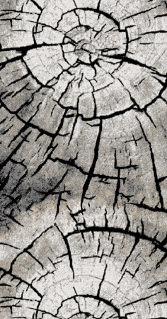 Дорожка Лайла де Люкс 15751 10744